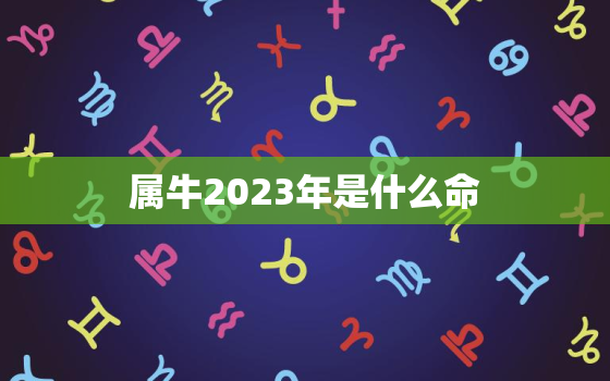 属牛2023年是什么命(解读牛年运势大揭秘)