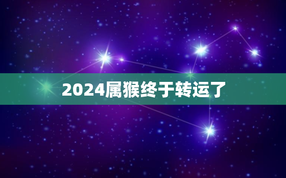 2024属猴终于转运了(猴年大吉好运连连)