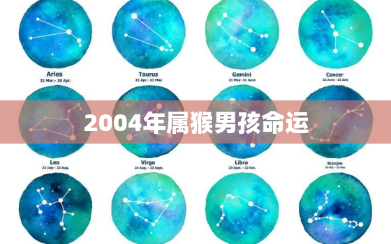 2004年属猴男孩命运(未来可期星象揭示成功之路)