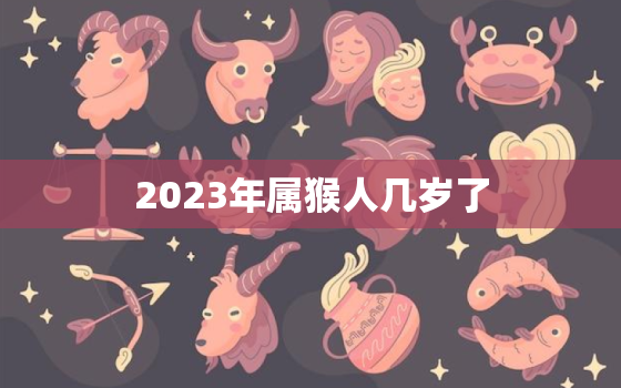 2023年属猴人几岁了(猴年大吉属猴人迎来新的岁月)