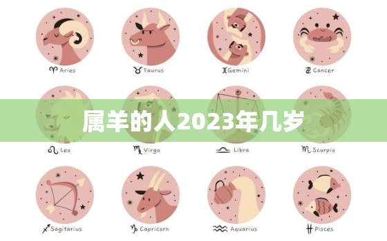 属羊的人2023年几岁(2023年属羊的你又长了一岁)