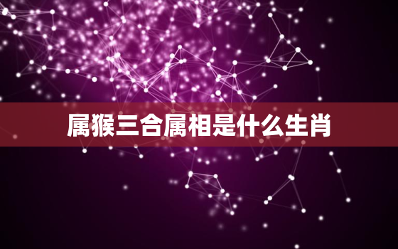 属猴三合属相是什么生肖(解密与猴最佳搭档的生肖是)