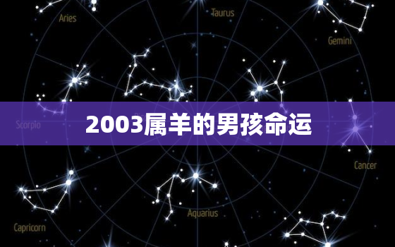 2003属羊的男孩命运(未来路在何方)