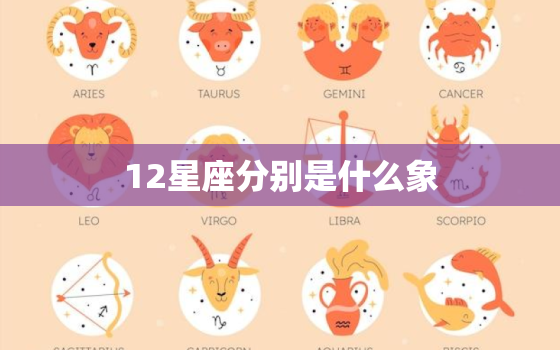 12星座分别是什么象(星座世界的奥秘)