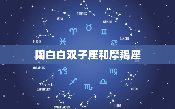 陶白白双子座和摩羯座(星座组合介绍)