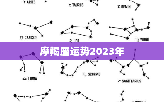 摩羯座运势2023年(事业财运双丰收)