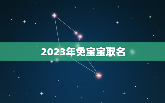 2023年免宝宝取名(新政策宝宝名字不再是烦恼)