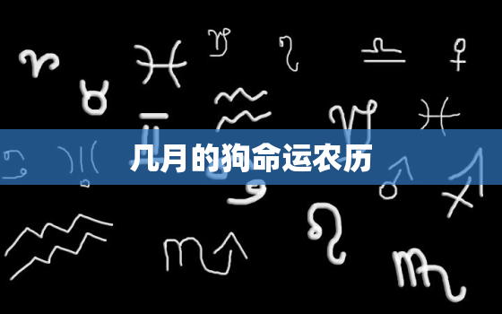 几月的狗命运农历(介绍狗年吉祥月份)