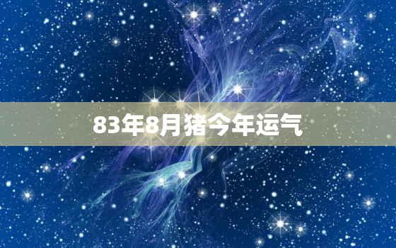 83年8月猪今年运气(猪年开运财源滚滚事业顺风顺水)