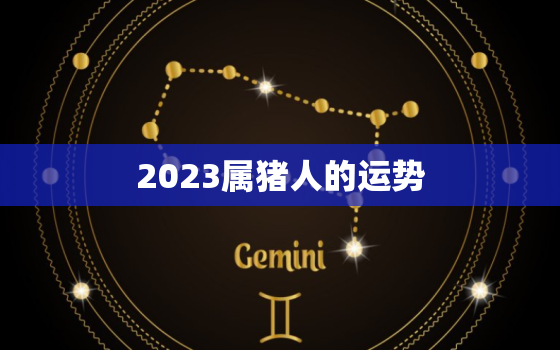 2023属猪人的运势(猪年大展宏图)