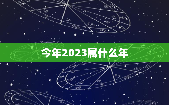 今年2023属什么年(探寻中国传统文化中的生肖之谜)