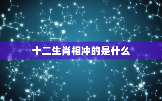 十二生肖相冲的是什么(介绍十二生肖相冲的原因和影响)