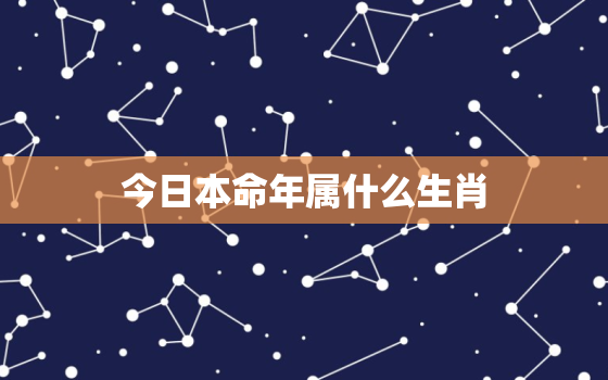 今日本命年属什么生肖(2023年生肖运势大介绍)