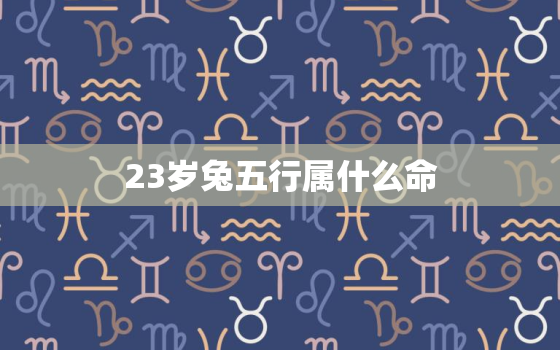 23岁兔五行属什么命(介绍兔命五行属什么)