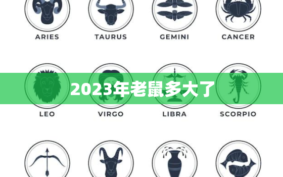 2023年老鼠多大了(探寻老鼠年生肖的神秘之处)