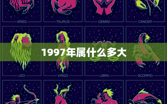 1997年属什么多大(你知道吗)