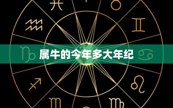 属牛的今年多大年纪(2023年属牛人的年龄计算方法)