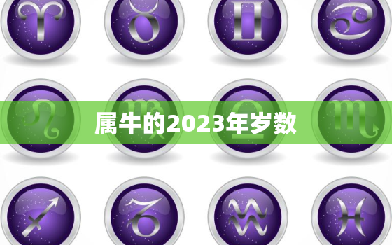 属牛的2023年岁数(牛转乾坤运势大好)