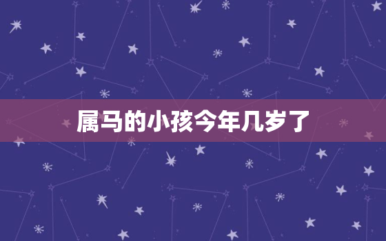 属马的小孩今年几岁了(如何预测属马宝宝的命运)