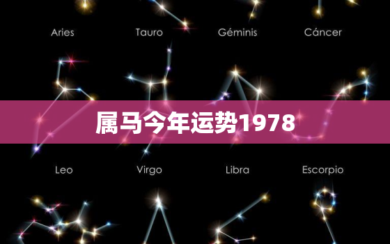 属马今年运势1978(马到成功财运亨通)