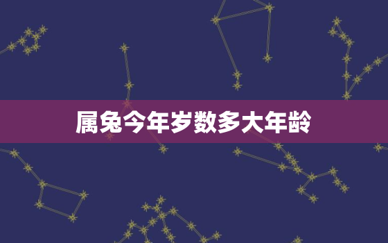 属兔今年岁数多大年龄(你的兔年运势如何)