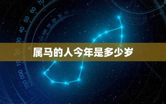 属马的人今年是多少岁(2023年属马人的年龄计算方法详解)