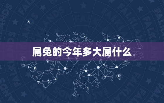 属兔的今年多大属什么(2023年属兔人的命运如何)