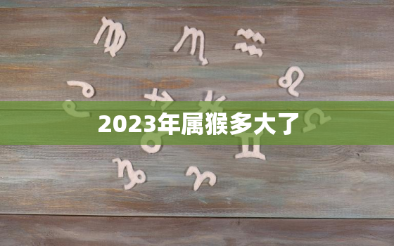 2023年属猴多大了(猴年大吉属猴人迎来幸运岁月)