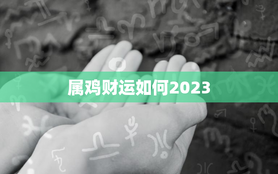 属鸡财运如何2023(展望机遇与挑战并存)