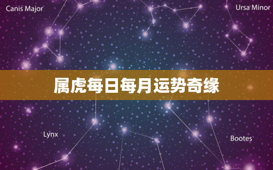 属虎每日每月运势奇缘(解读2023年运势)