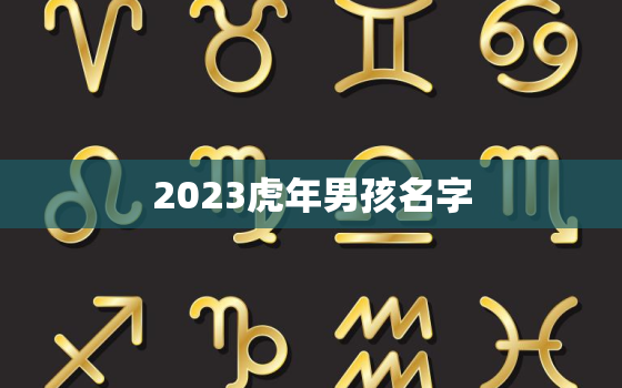 2023虎年男孩名字(如何选择5个灵感来源)