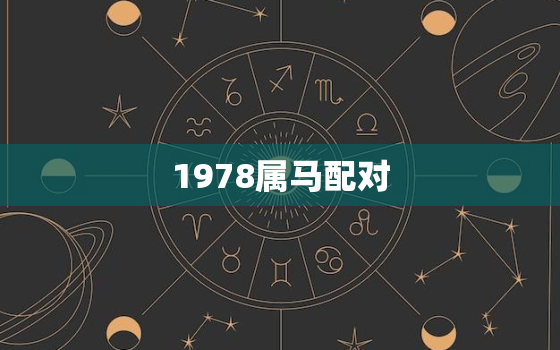 1978属马配对(马与狗天作之合)