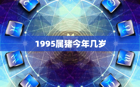 1995属猪今年几岁(猪年运势如何)