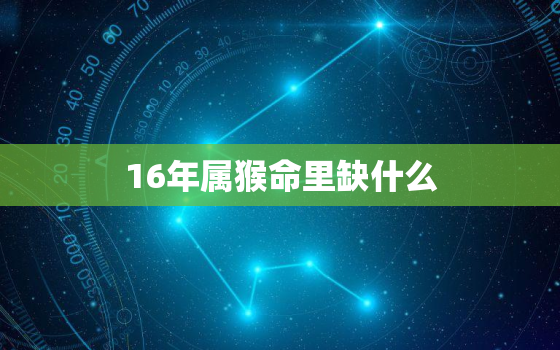 16年属猴命里缺什么(如何补足命运的缺陷)