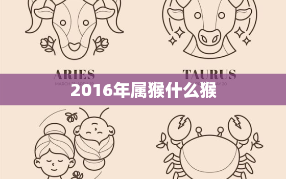 2016年属猴什么猴(猴年大吉属猴人运势如何)