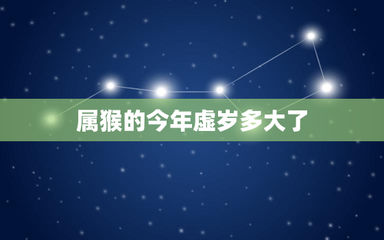 属猴的今年虚岁多大了(2023年猴年运势大介绍)