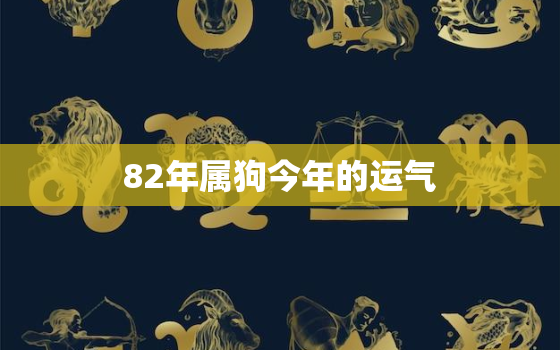 82年属狗今年的运气(如何)