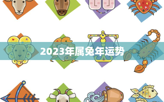 2023年属兔年运势(兔子们迎来事业新起点)