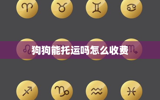 狗狗能托运吗怎么收费(了解宠物托运的费用和规定)