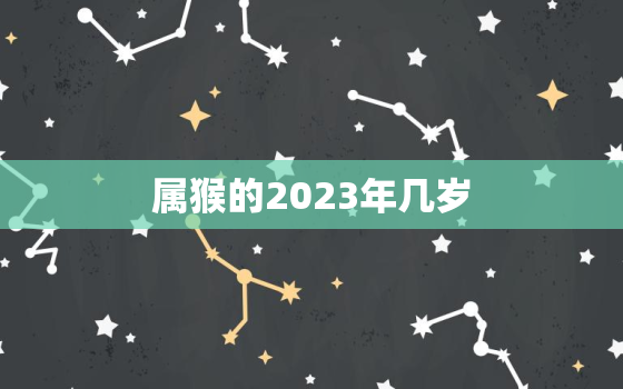 属猴的2023年几岁(猴年大吉属猴的你几岁了)