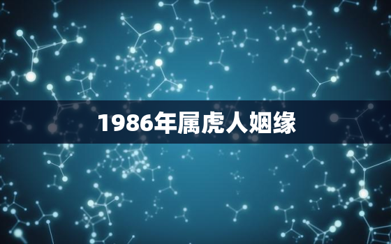 1986年属虎人姻缘(如何找到属于你的另一半)