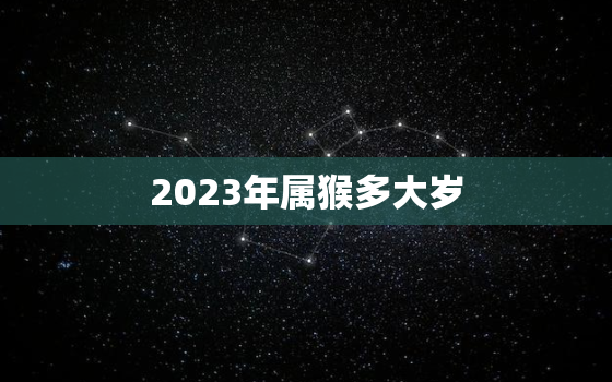 2023年属猴多大岁(猴年大吉属猴的你准备好了吗)