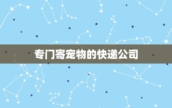 专门寄宠物的快递公司(安全快捷送宠物让主人放心)