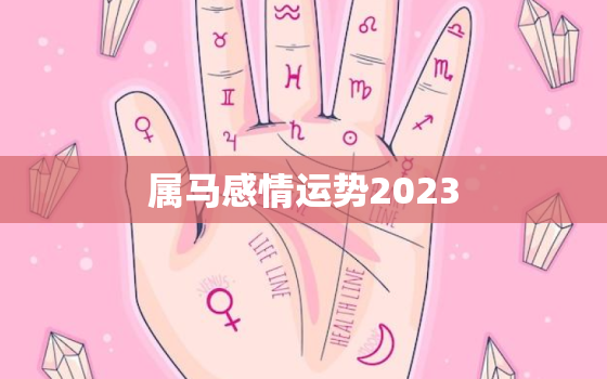 属马感情运势2023(爱情运势大好单身马儿有望遇到真爱)