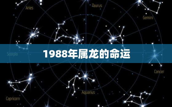 1988年属龙的命运(如何影响你的职业和财富)