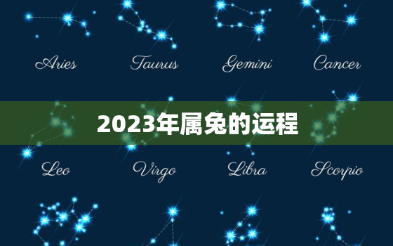 2023年属兔的运程(顺风顺水财运亨通)