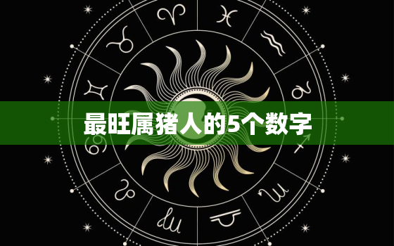 最旺属猪人的5个数字(介绍财运、爱情、事业、健康、幸福)