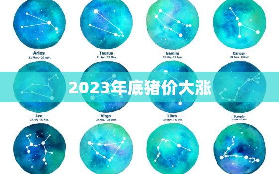 2023年底猪价大涨(全国肉类市场陷入恐慌)