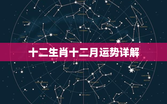 十二生肖十二月运势详解(2023年最后一个月你的运势如何)