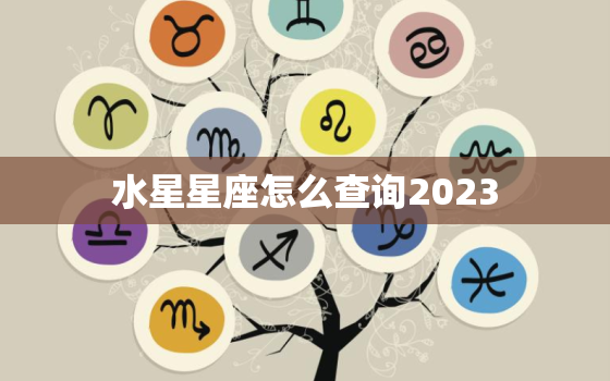 水星星座怎么查询2023(快速了解你的星座)